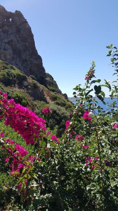 Tanca Piras - Emozioni A Strapiombo Sul Mare!!! Villa Nebida Bagian luar foto